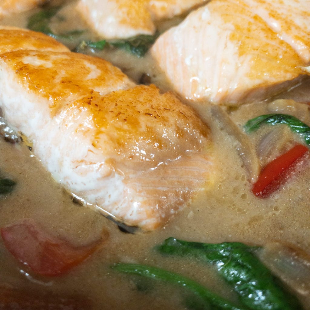 Pan fried salmon in creamy coconut sauce - in sauce