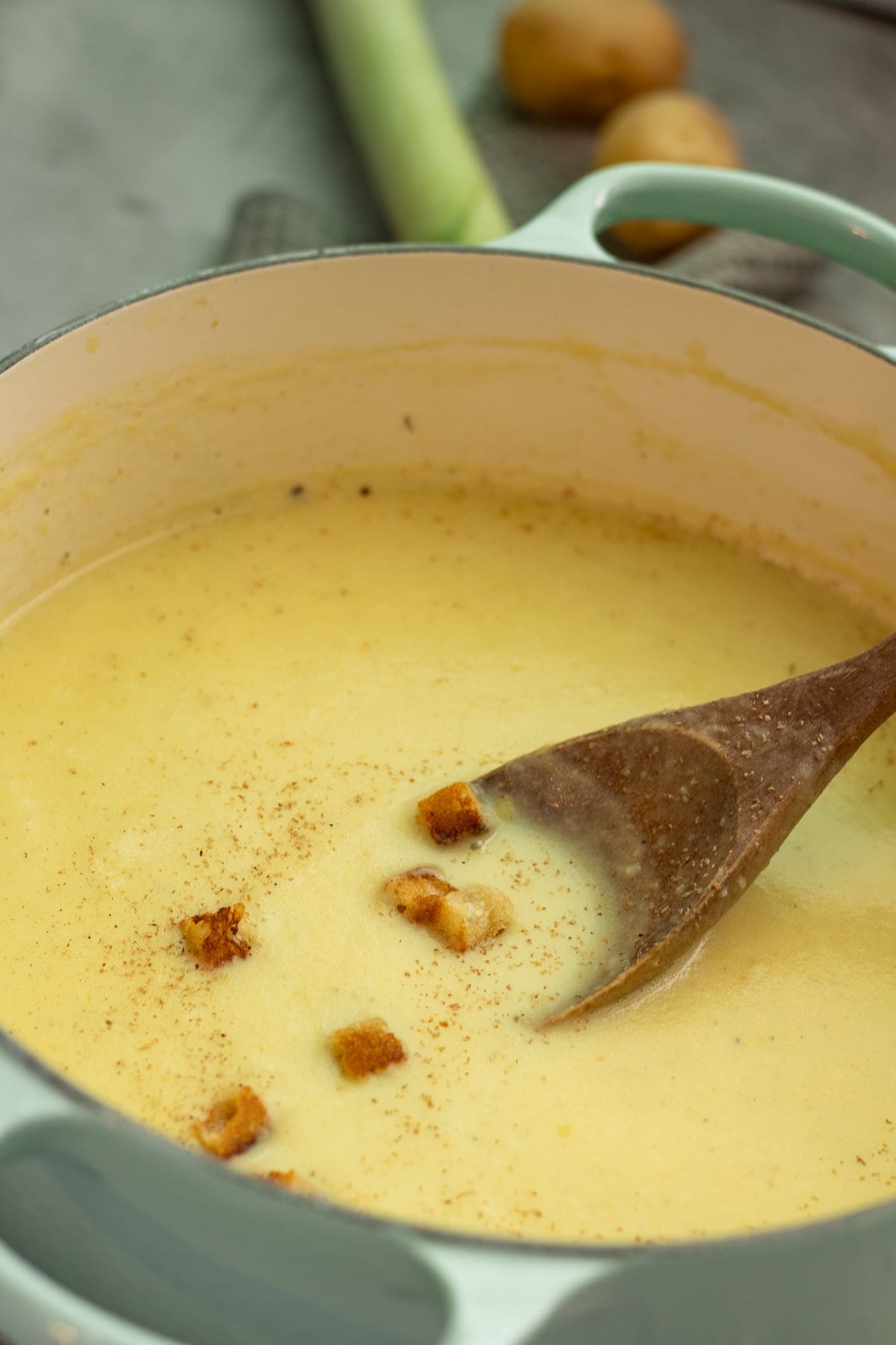 Pot of leek and potato soup garnished with croutons and nutmeg